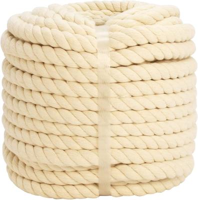 China Viable 3mm 4mm 5mm 100% Natual Color Cotton RopeTwisted Macrames Tie 8mm Natural Cotton Rope for sale