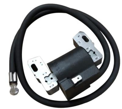 China B&s of hotels, briggs and stratton ignition coil assy. 802574, 794854, 495859, 597081 for sale