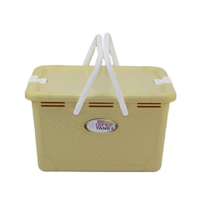 China Sustainable Plastic Portable Household Picnic Basket Universal Storage Basket With Lid And Handle for sale