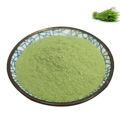 China Dried Wheat Grass Powder Barley Grass Powder Dried Wheat Grass Juice Powder for sale