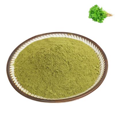 China Dried Dried Coriander Powder Pure Coriander Powder Dehydrated Coriander Powder for sale