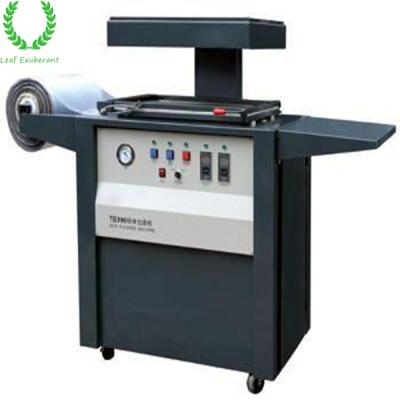 China Hot Sale Food Equipment Vacuum Peel Packaging Machine for sale