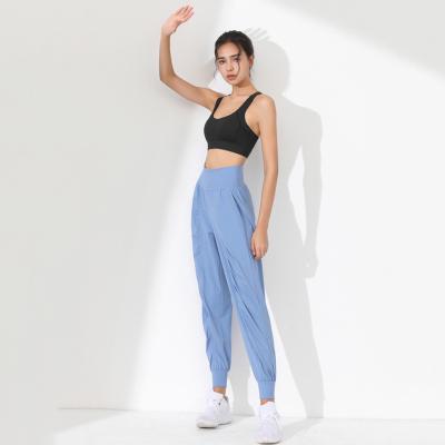 China Autumn Wicking Sports Yoga Fitness Anti-Static Sweatpants Winter Pants Women Jogger Casual Jogger Pants for sale