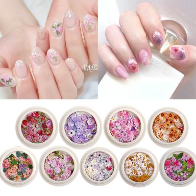 China Easy Apply New Autumn And Winter Nail Art Design Christmas Series 3d Butterfly Shaped Maple Leaf Snowflake Nail Wood Paste Colorful Set for sale