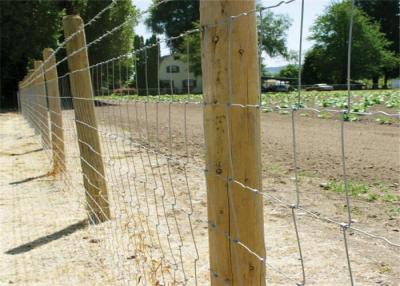 China Square Hole Livestock Wire Fencing Electric Galvanized Durable Against Hit for sale