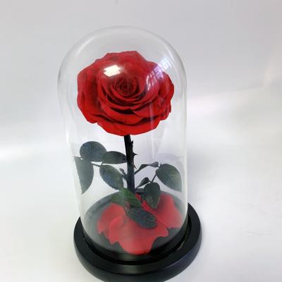 China Long llasting and natural touch factory supply preserved rose head 7-8cm everlasting rose head for decor for sale