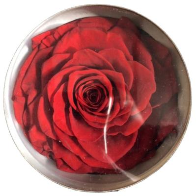 China Long lasting and natural touch and large size preserved flowers large size 9-10cm preserved rose head everlasting rose head wedding rose for sale