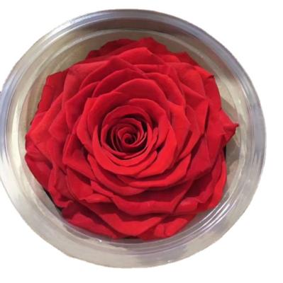 China Durable And Natural Touch And Big Size Wholesale A Grade Preserved Roses 9-10cm Luxury Rose Gift Eternal Flower for sale