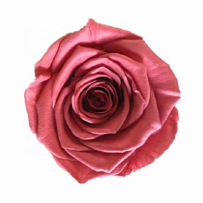 China Long llasting and natural touch factory supply preserved fresh flower everlasting rose head 4-5cm for sale