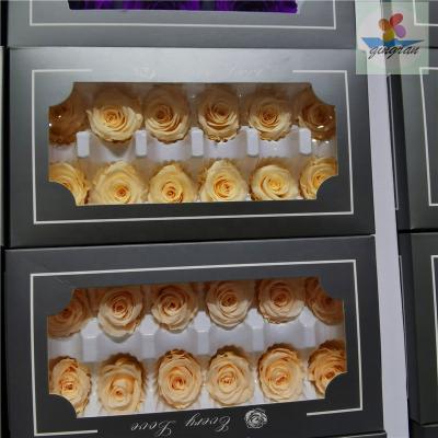 China High quality long llasting and natural touch preserved fresh rose preserved flower wholesale price for sale