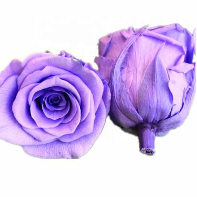 China Long llasting and natural touch handing preserved flower fresh cut preserved rose bud for gift for sale