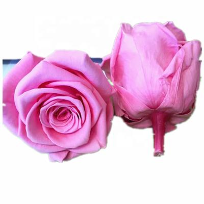 China Long llasting and natural touch wholesale cheap preserved flower rose all sizes rose prime best quality for sale