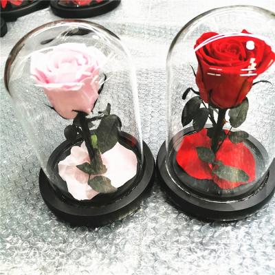 China Long llasting and natural touch most popular preserved roses in glass cover last for 3-5 years of eternal roses for sale