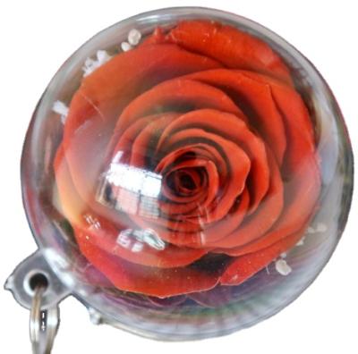 China Preserved Fresh Flower And Bulk Acrylic Sale Preserved Rose In Acrylic Ball With One Ring Eternal Flower Pendants for sale