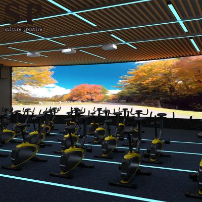 China Sports entertainment hot sale indoor-cycling high quality leisure sport bicycle spinning game for sale