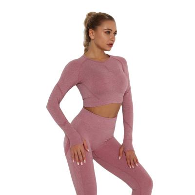 China 2021 New Arrivals Women Active Wear 2 Piece Set Breathable Slim Fit High Elastic Fitness Seamless Yoga Set for sale