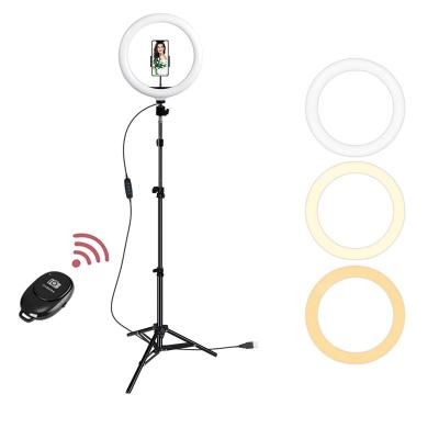 China Dimmable LED Plastic Selfie Ring Light With Tripod USB Selfie ABS Plastic Ring Lamp Big Photography Ringlight With Stand For Tiktok Youtube for sale