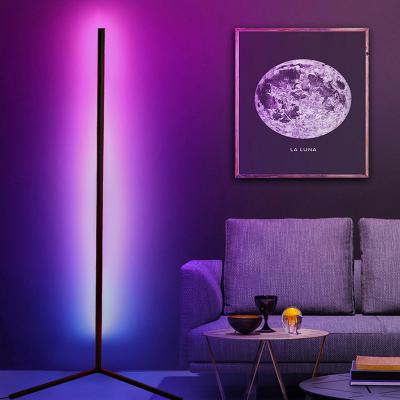 China Lighting Functions Dropshipping Modern Luxury Corner Floor Lamp RGB Floor Lamp Selfie Floor Lamps for sale