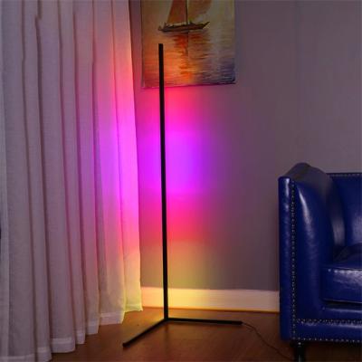 China Ignition Works Modern RGB Floor Lamp Wholesale High Quality Luxury Led Living Room Outdoor Floor Lamp for sale