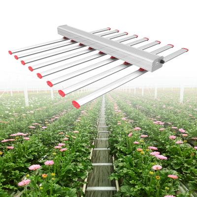 China Seed Us Starting Strip Bar 1000W 650W 200 Watt Full Spectrum IR Lm301h 600W Panel Lights Diy UV Cob Led To Grow Light for sale