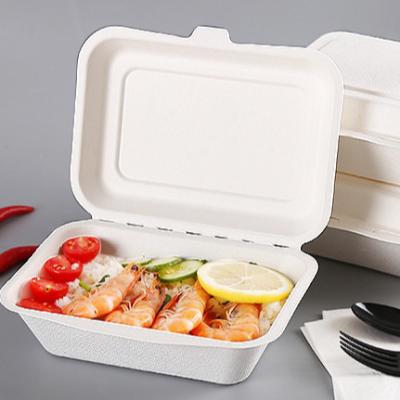 China compostable bagasse sugar cane/bagasse take away container for sale