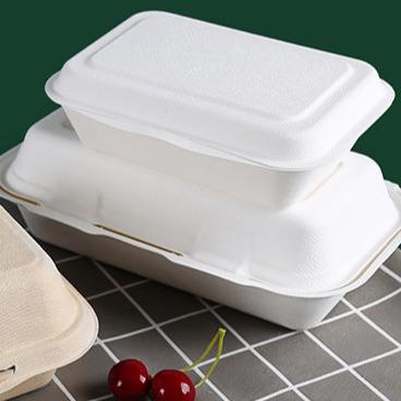 China Bagasse 8