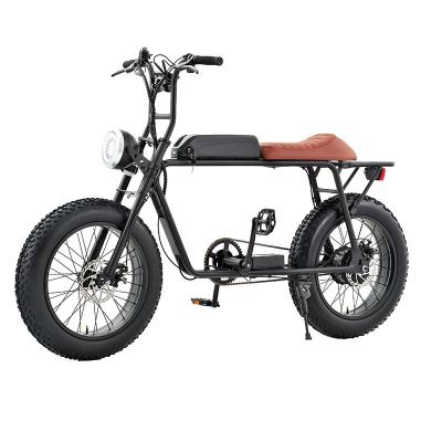 China Electric bike 20 inch steel wheel frame 500-700w 48v ebike fat steel tire for sale