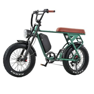 China Electric Bike 20