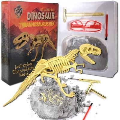 China Expand Imagination DIG and Excavate Dinosaur Fossil Kit for Kids for sale