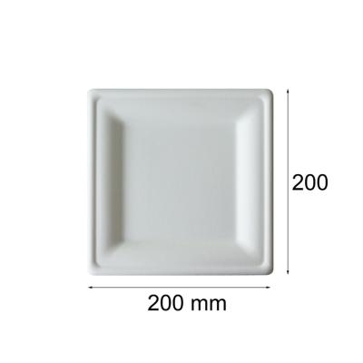 China Disposable High Quality Sugar Cane Bagasse Standard Dinner Dish, Tea Soup Plates with Hotel Dinner Dish for sale