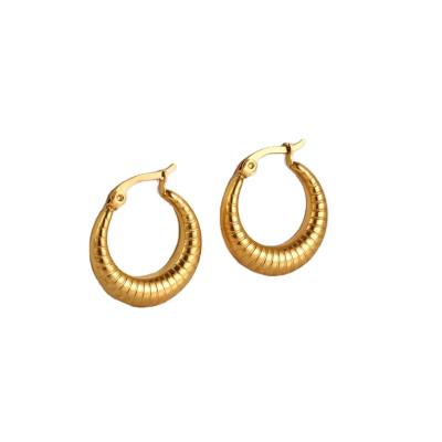 China Environmental Friendly Earings For Women Jewelry 2021 Fashion Earrings Gold Plated Stainless Steel Hoop Earring for sale