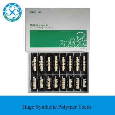 China Dental Clinic Four Layer Dental False Teeth / Huge Kaili Synthetic Polymer Resin Teeth for sale