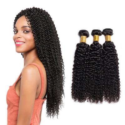 China Curly Brazilian Virgin Kinky Curly Cuticle Aligned Silky Curly Women Remy Hair Extension For Black Mink Hair Bundles for sale