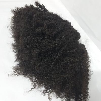 China Afro Curly Kinky Curly Peruvian Remy Hair Weave for sale