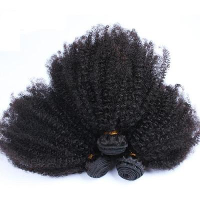 China Can be changed the design to any texture as you like Xuchang Feibin Dyeable and Beleachable Curly Factory Price Afro Curly Brazilian Virgin Hair Weft for sale