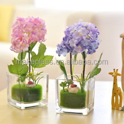 China Glass Square Shaped Glass Plant Pot , Flower Pot Garden Pots Glassware for sale