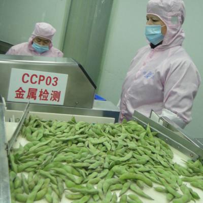 China SHELLED edamame beans iqf soybeans fresh FROZEN edamame beans for sale