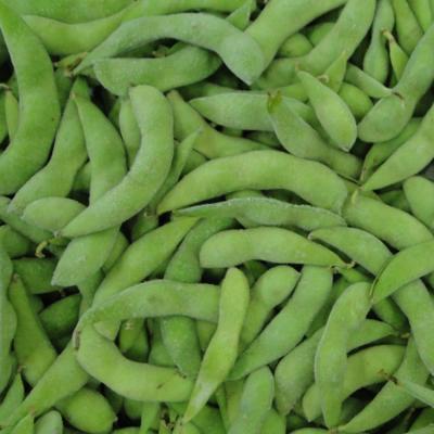 China High quality frozen edamame soybeans price wholesale FROZEN for sale