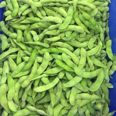 China Wholesale FROZEN IQF Soybeans Edamame Fresh Frozen Vegetable Soybeans for sale