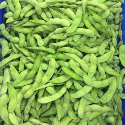 China Chinese new product frozen green edamame fresh frozen edamame JELLY for sale