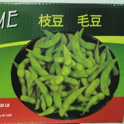 China Good Quality JELLY Premium Quality IQF Frozen Green Soybeans in Edamame Pods for sale