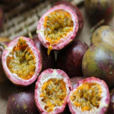 China Whole FROZEN fruit passionflower edible passionflower supplier for sale