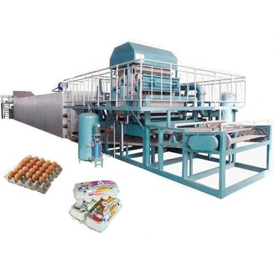 China New Factory Africa Investment Ideas Egg Tray Box Mushroom Tray Production Machine Making Disposable Paper Pulp Packing Trays Product for sale