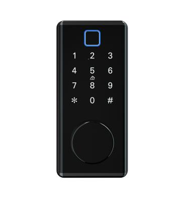 China TTLock Digital Zinc Alloy Automatic Blue Tooth Fingerprint Deadbolt Door Lock Multiple Ways Opening Door Lock for sale