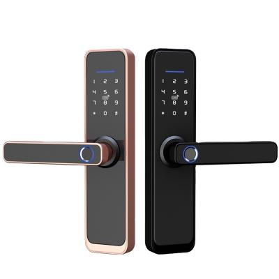 China Wifi Smart Door Lock Locks Security Doors Master Card Magnetic Fingerprint Door Lock 154mm*63mm*24mm for sale