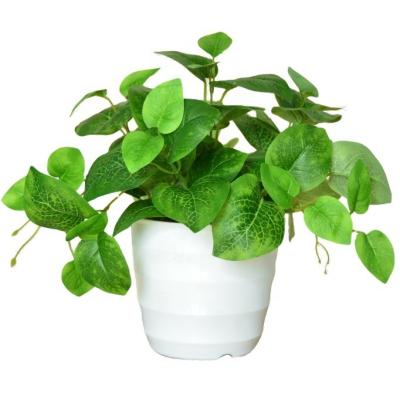 China Sale Office Whole Green Decoration Artificial Plant with Pot for Home and Events Decorative Fake Plants for sale