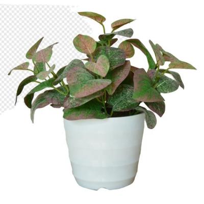 China Artificial Home Decor New Arrival Gift Hotel Decoration Hotel Green Plant With Pot Centerpiece Fake Plants for sale