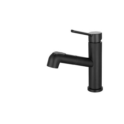 China Pull Out New Style DQOK Spray Basin Faucet Extension Hose Luxury Hand Wash Bathroom Pull Out Basin Faucets for sale