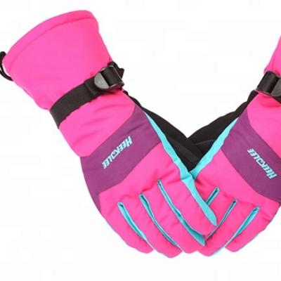 China Breathable / Warmth / Flexible Fabric Stock Waterproof Insert Hipora Five Fingers Outdoor Winter Gloves for sale