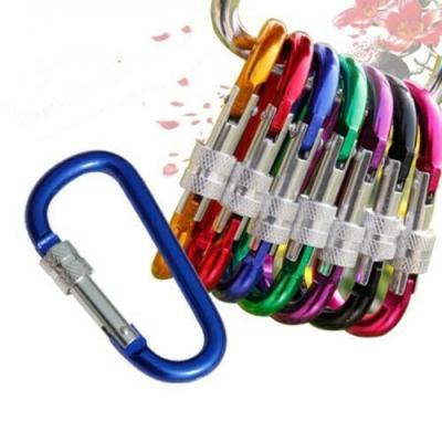 China Carabiner Stainless Metal Aluminum Key Clip Safe Big Lock Keychain for sale